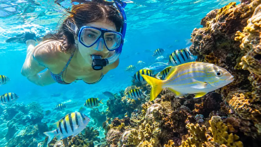 7 Best Snorkeling Tours in St Thomas Ranked Reviewed