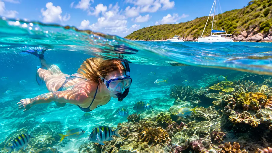 7 Best Snorkeling Tours in St Thomas Ranked Reviewed