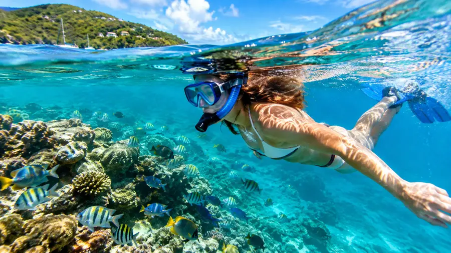 Best Time to Snorkel in St Thomas Weather Water Temp