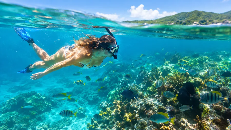 Best Time to Snorkel in St Thomas Weather Water Temp