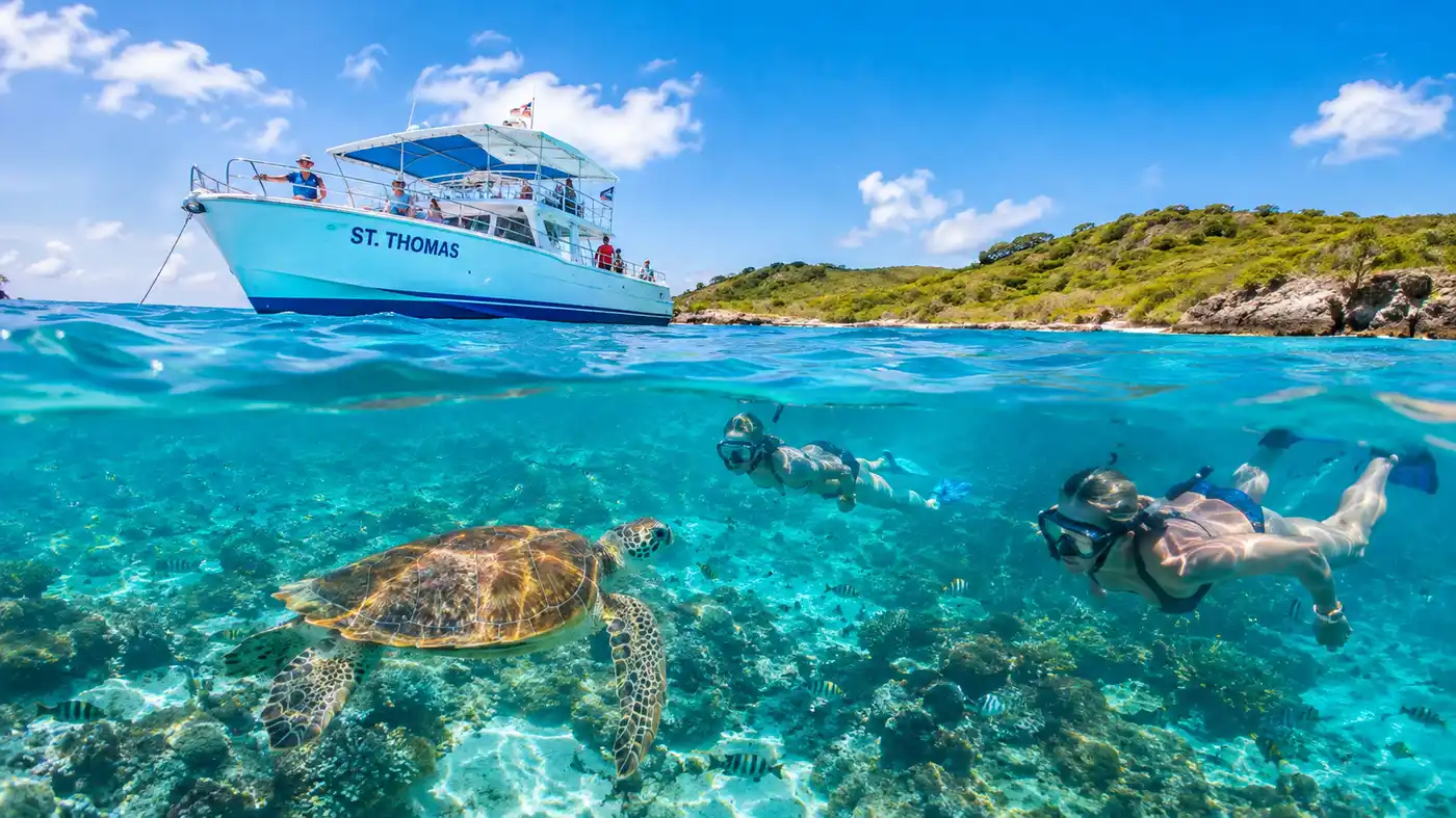 Buck Island Reef Turtle Cove Is the Boat Trip Worth It
