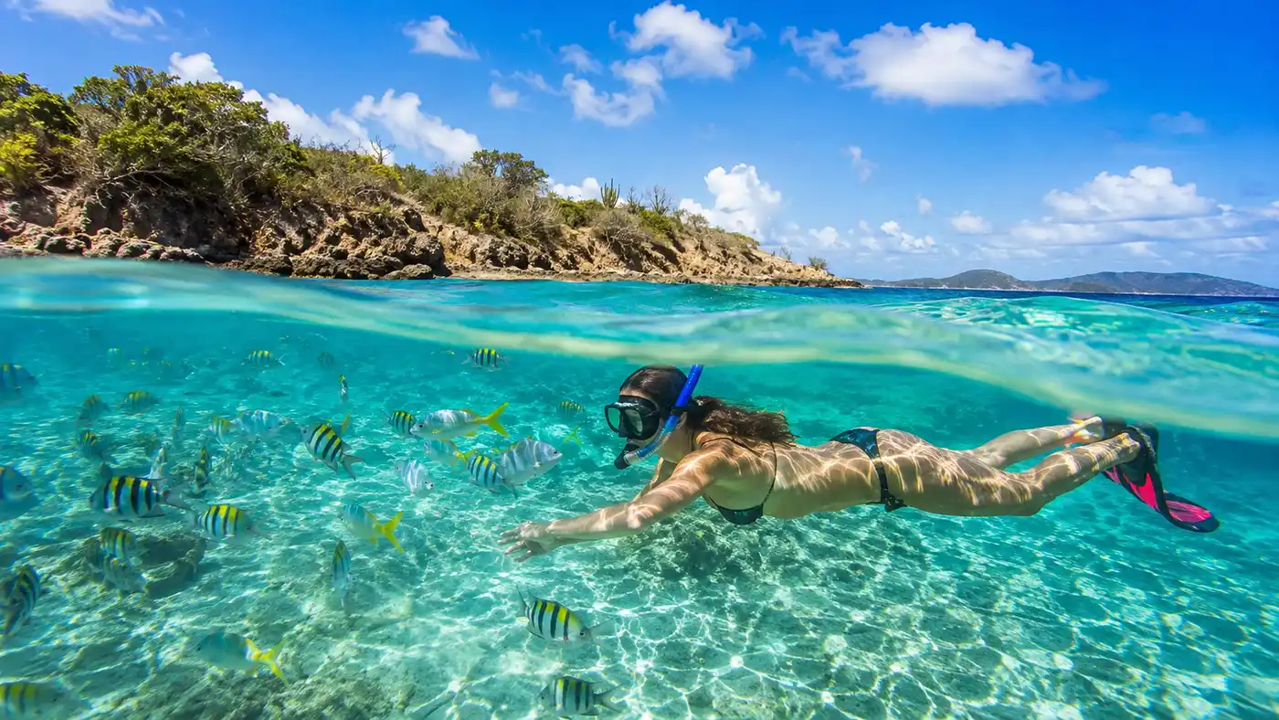 Coki Point Beach Crystal Clear Water Marine Life Guide