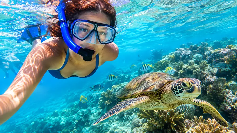 Is Snorkeling Safe in St Thomas Safety Tips Faqs