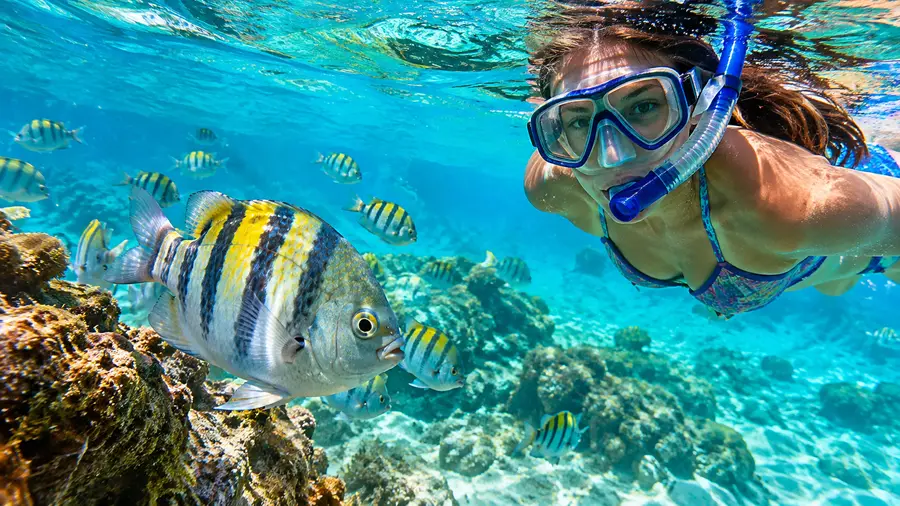 Lindquist Beach Smith Bay Park a Pristine Snorkel Guide