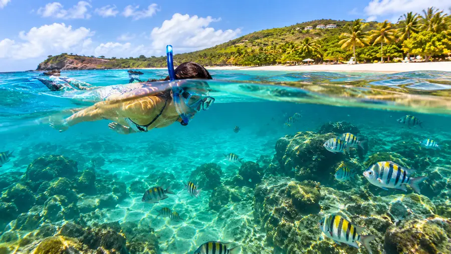 Lindquist Beach Smith Bay Park a Pristine Snorkel Guide