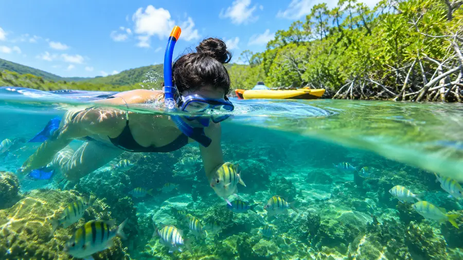 Mangrove Lagoon Kayak Snorkel Eco Tour Review