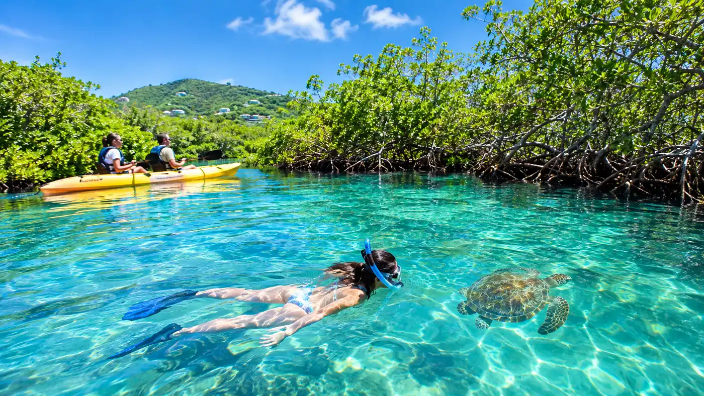 Mangrove Lagoon Kayak Snorkel Eco Tour Review