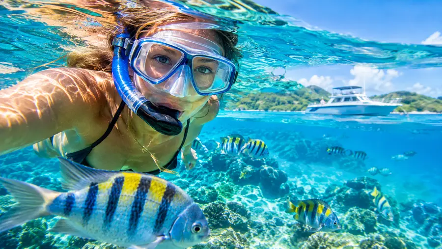 Private Boat Charters vs Group Snorkel Tours Which to Choose