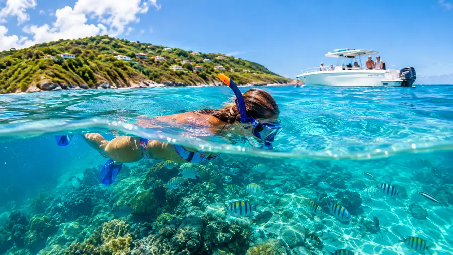 Private Boat Charters vs Group Snorkel Tours Which to Choose