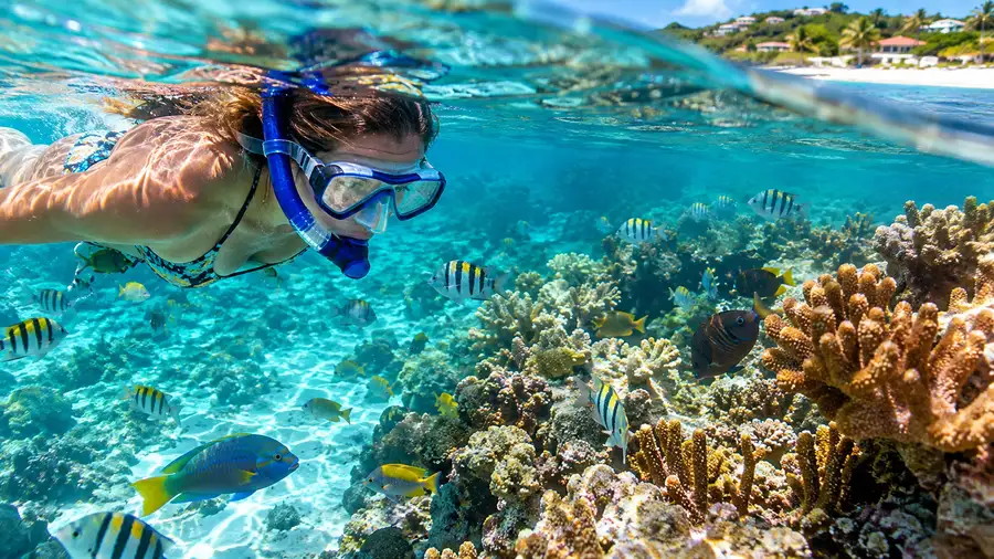Sapphire Beach the Best Coral Reefs and Amenities