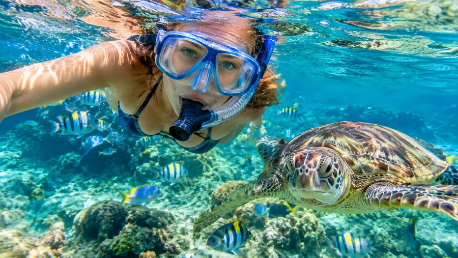 St Thomas Snorkeling for Cruise Passengers a Day Trip Guide