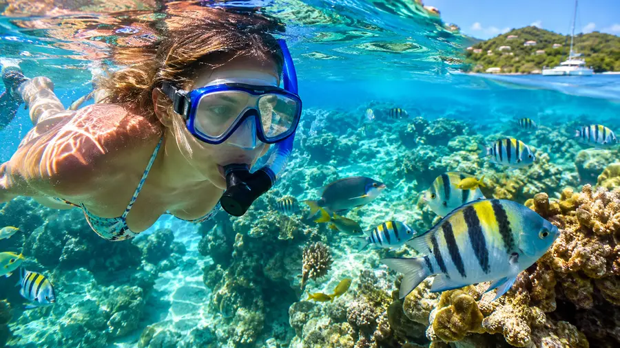 St Thomas vs St John Which Island Has Better Snorkeling