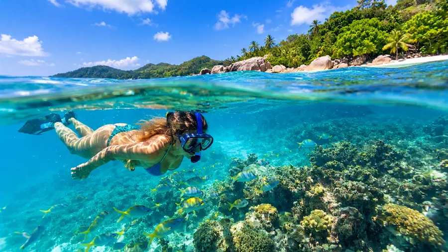 St Thomas vs St John Which Island Has Better Snorkeling