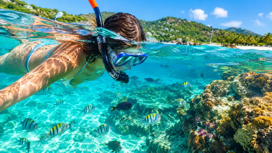 Top 5 Beaches for Snorkeling from Shore in St Thomas