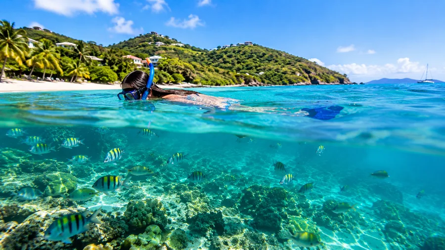 Top 5 Beaches for Snorkeling from Shore in St Thomas