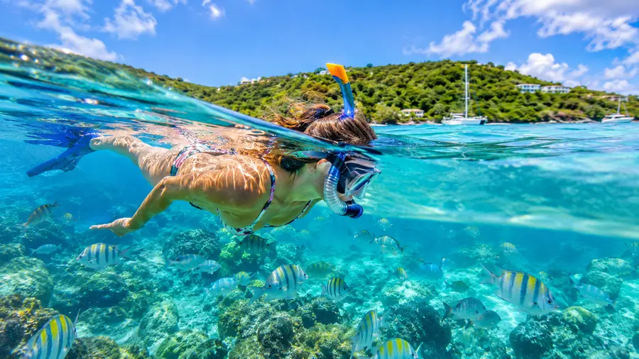 Where to Rent Snorkel Gear in St Thomas Prices Spots