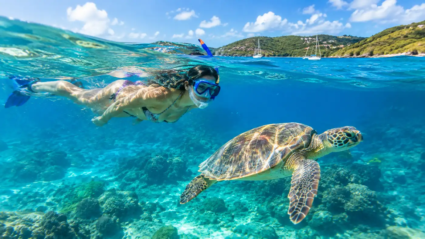 Where to Swim with Sea Turtles in St Thomas Top Spots